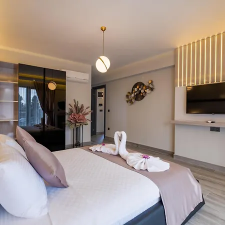 Gezer Luxury Private Pool 费特希耶